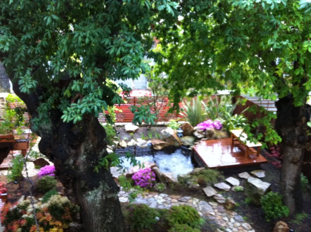 2012-04-11190145.jpg