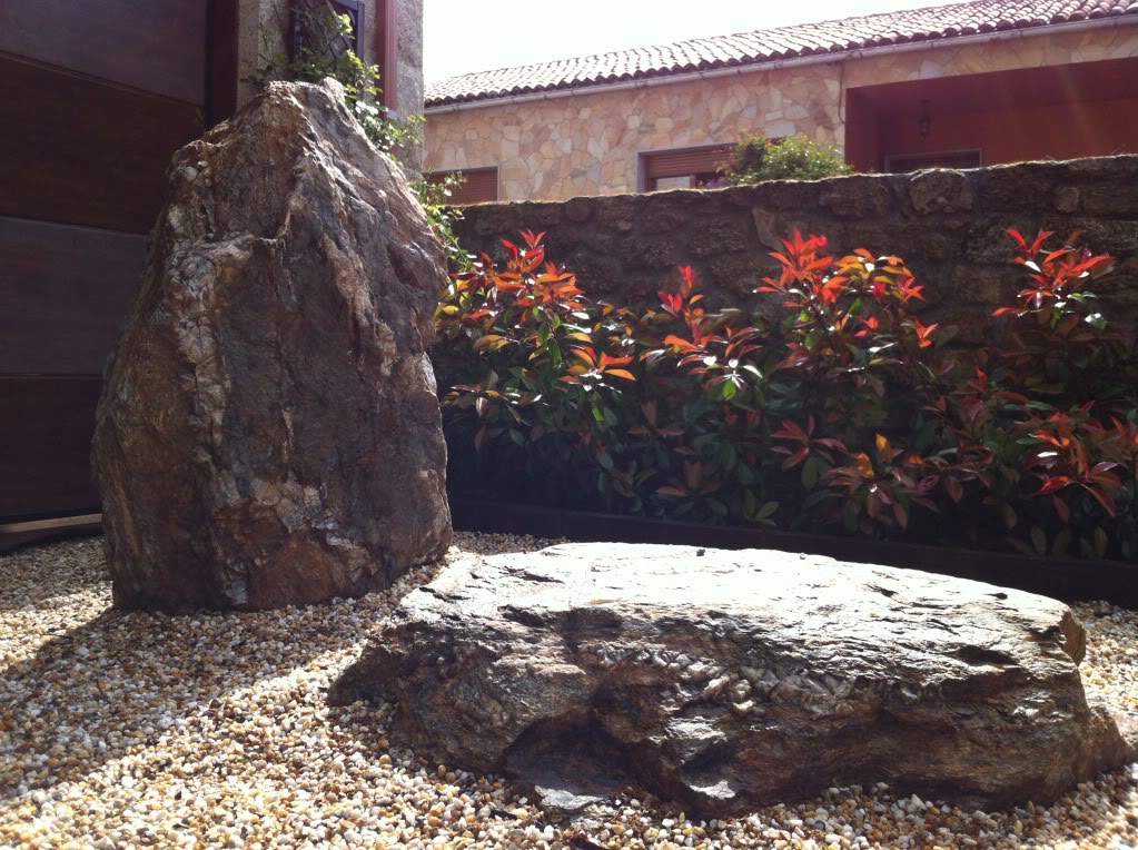 2012-04-12121518.jpg