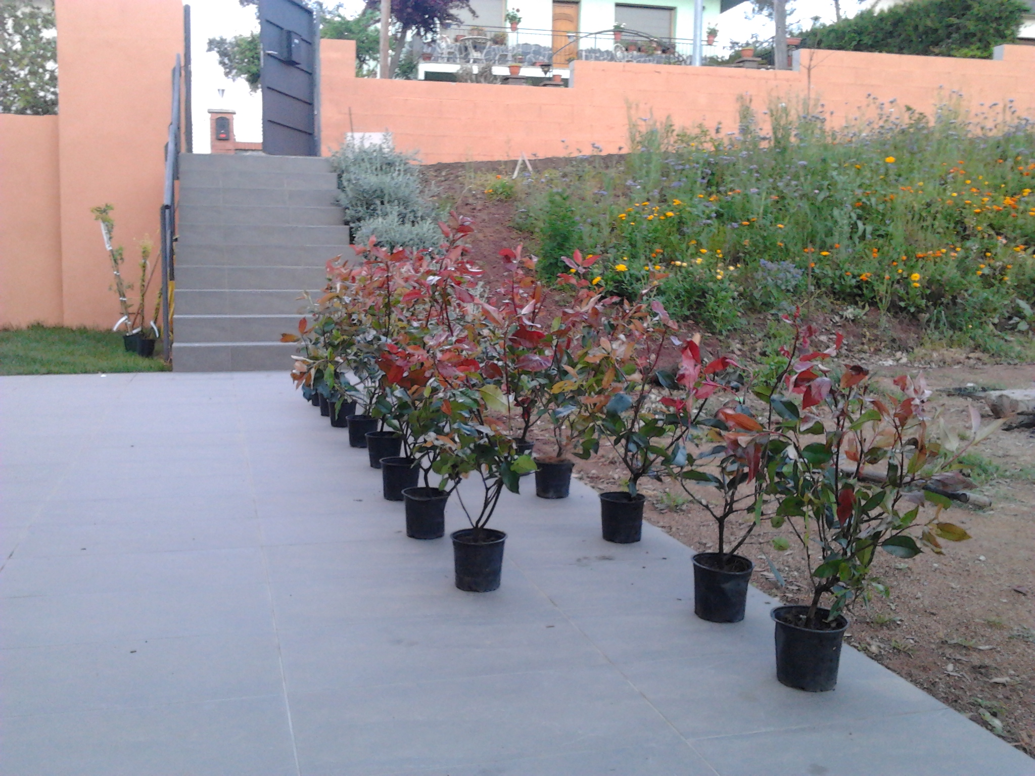 2012-04-13-20-04-27.jpg