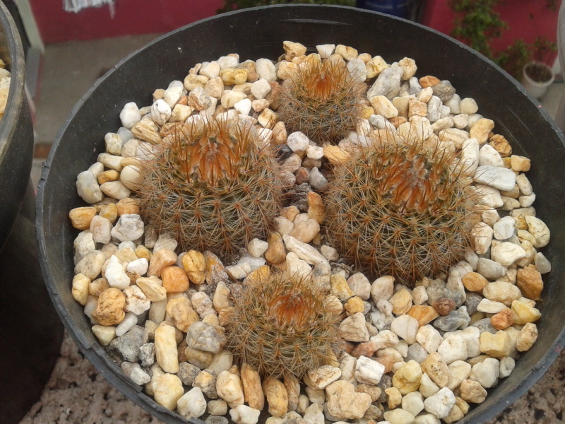 2012-04-15183954.jpg