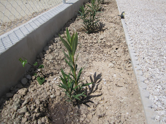 2012-04-22%2B%25288%2529.JPG