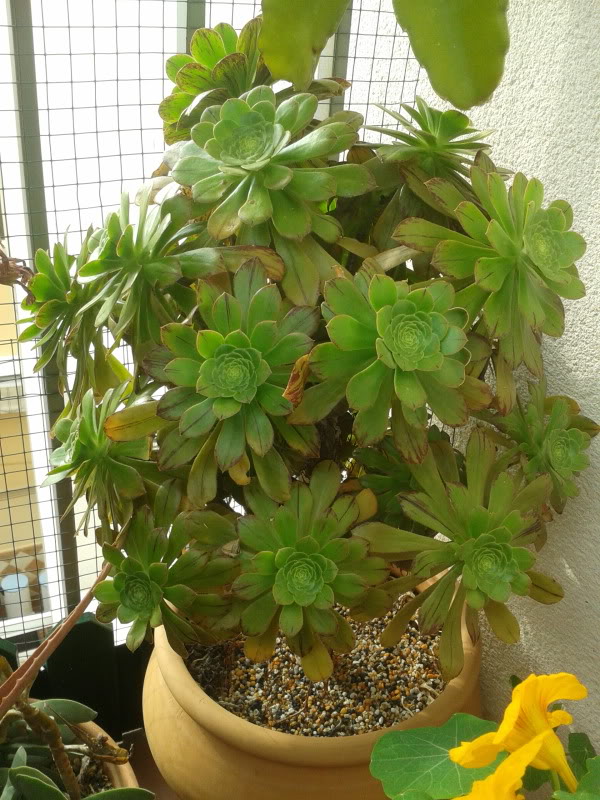 2012-04-23181346.jpg
