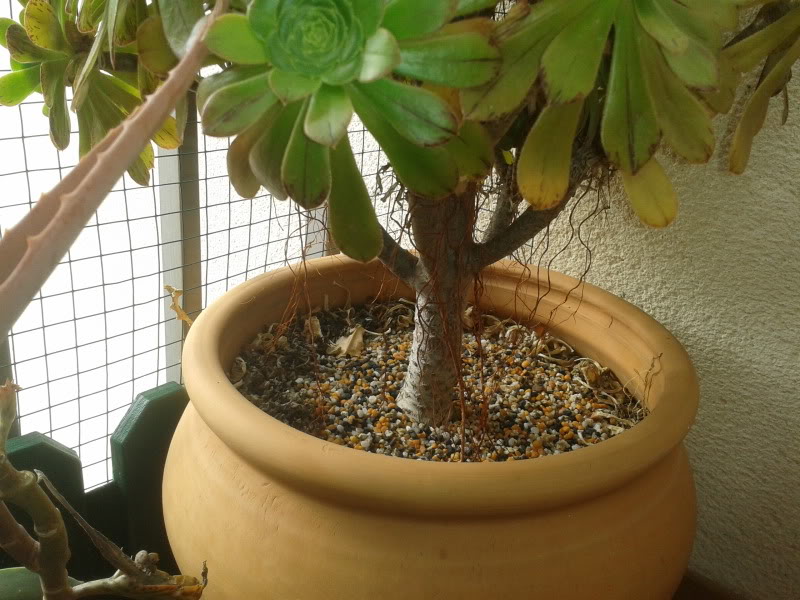 2012-04-23181353.jpg