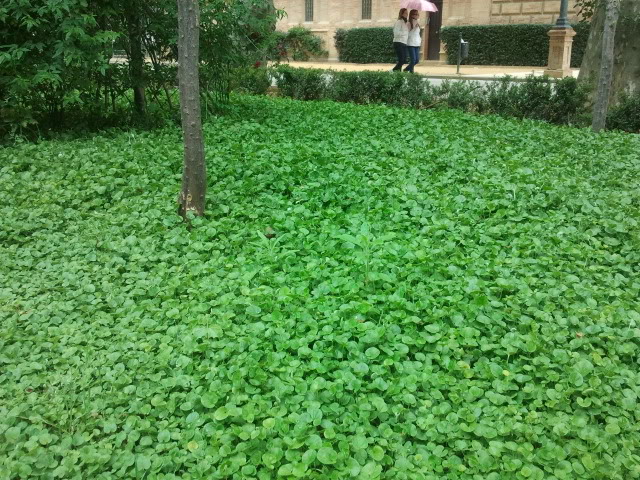 2012-04-29135237.jpg