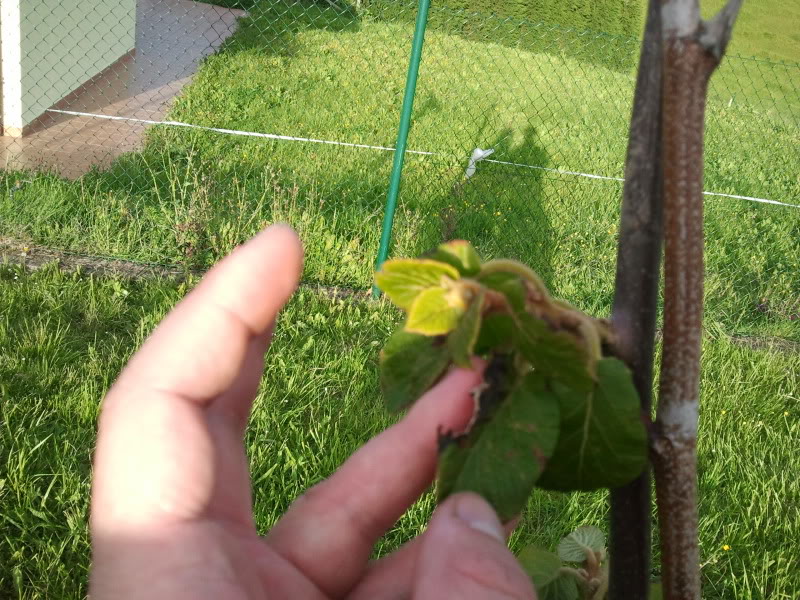2012-05-05201139.jpg