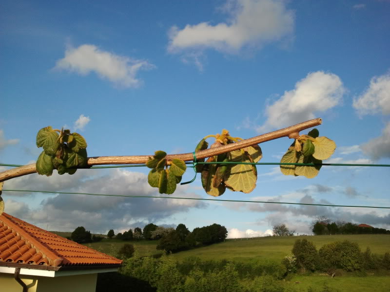 2012-05-05201146.jpg