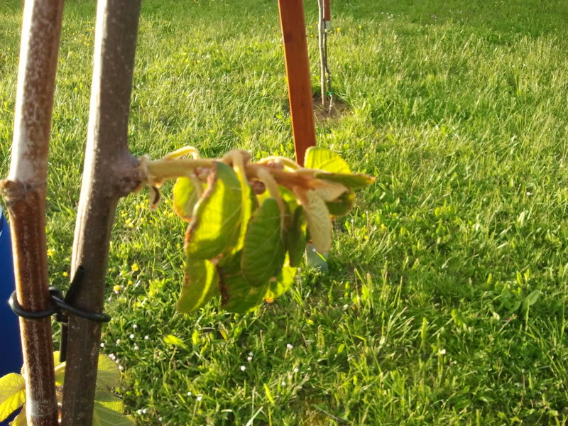 2012-05-05201155.jpg