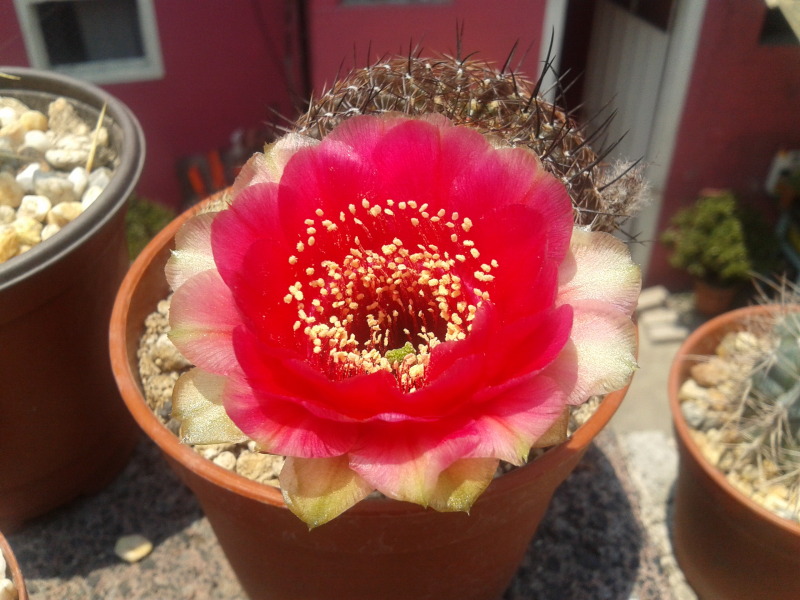 2012-05-06124305.jpg
