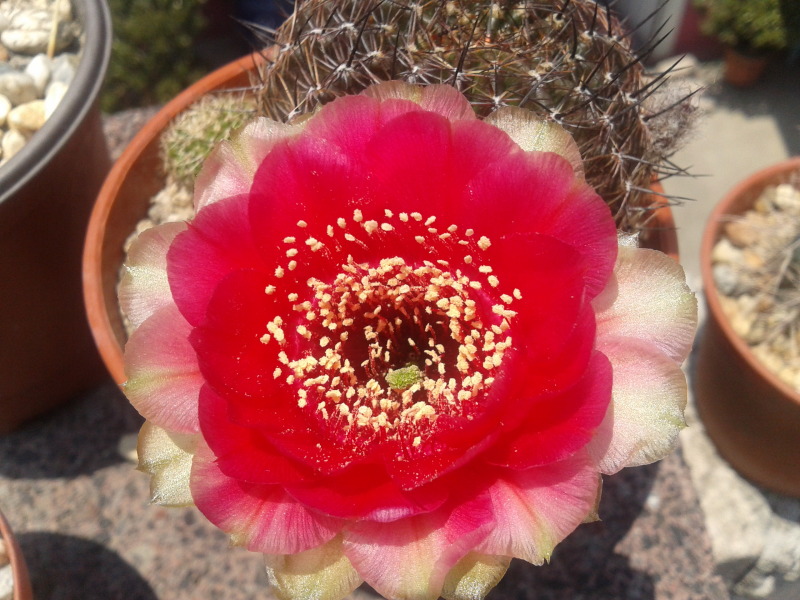 2012-05-06124312.jpg