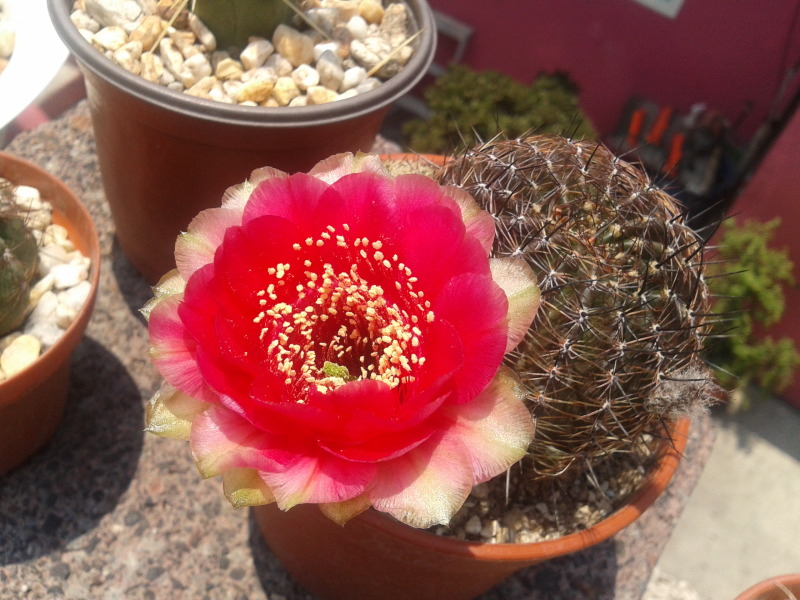 2012-05-06124400.jpg