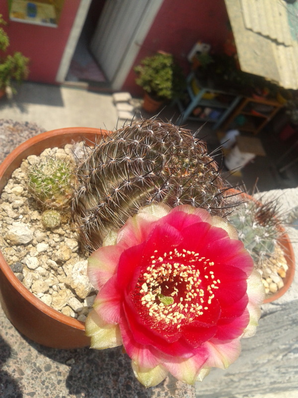 2012-05-06124408.jpg