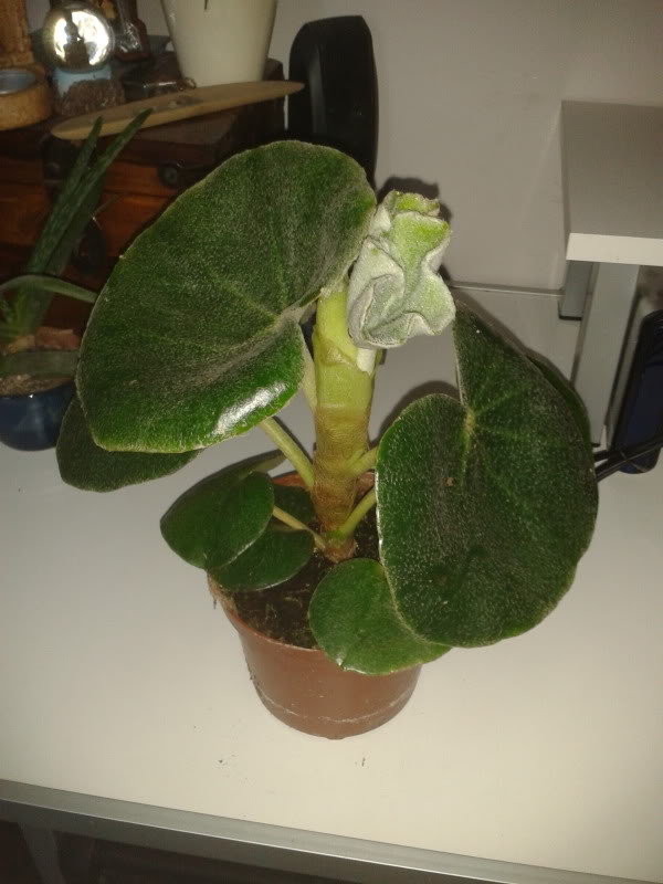 2012-05-10194240.jpg