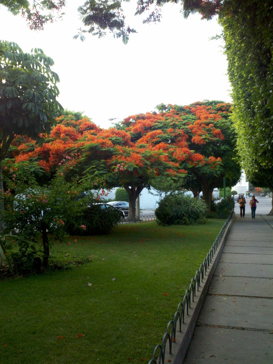 2012-05-11_19-25-38_219.jpg