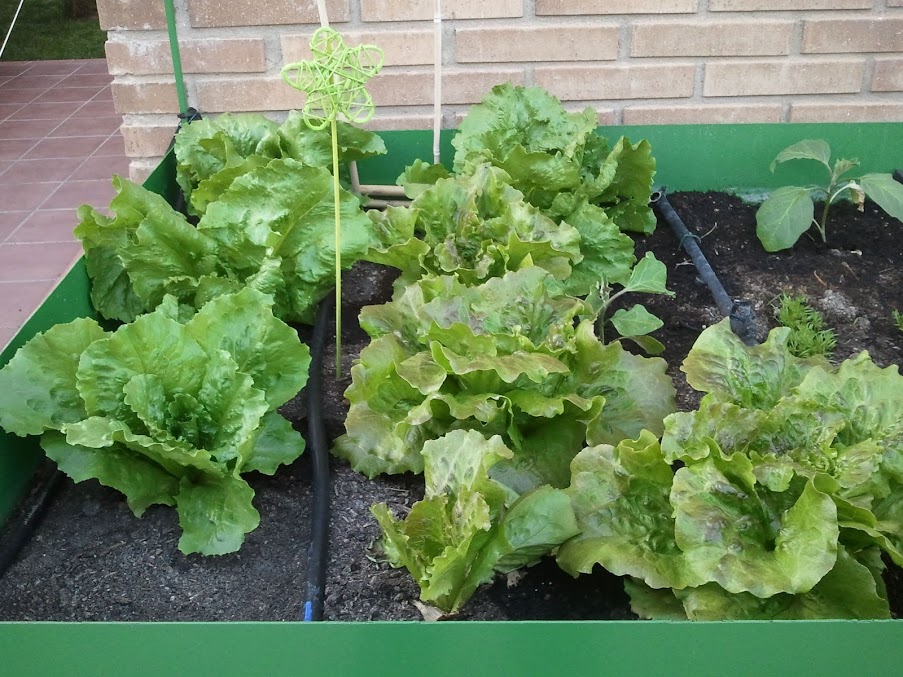 2012-05-13+20.30.36.jpg