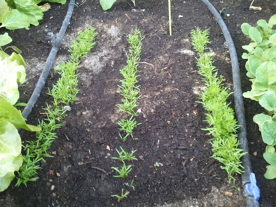2012-05-13+20.30.45.jpg