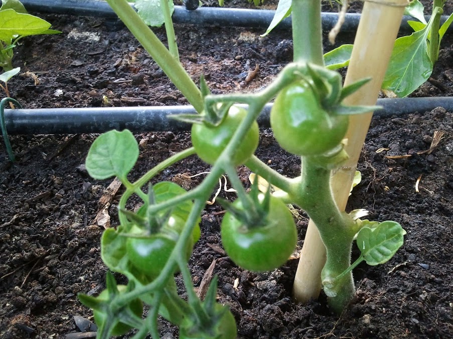 2012-05-13+20.31.07.jpg