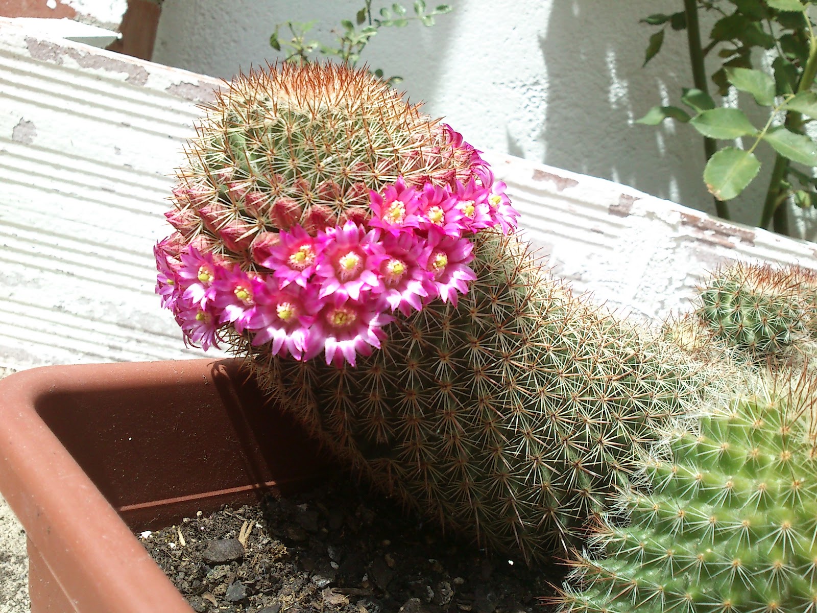 2012-05-28%2016.13.23.JPG