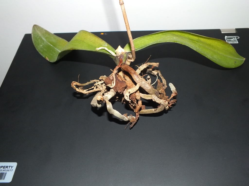 2012-06-04_0680.jpg