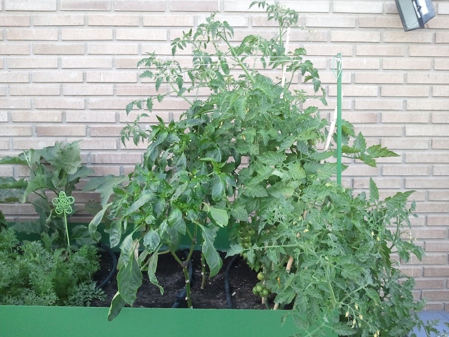 2012-06-12+21.03.19.jpg