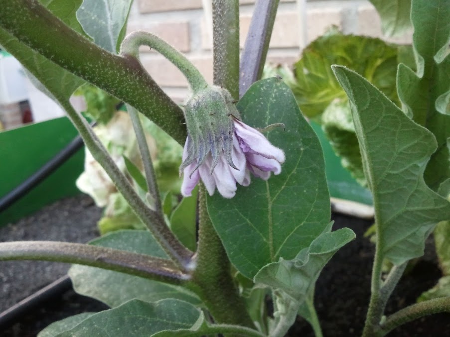 2012-06-12+21.03.30.jpg