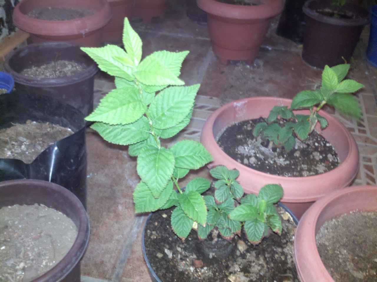 2012-06-18_00-16-16_227.jpg