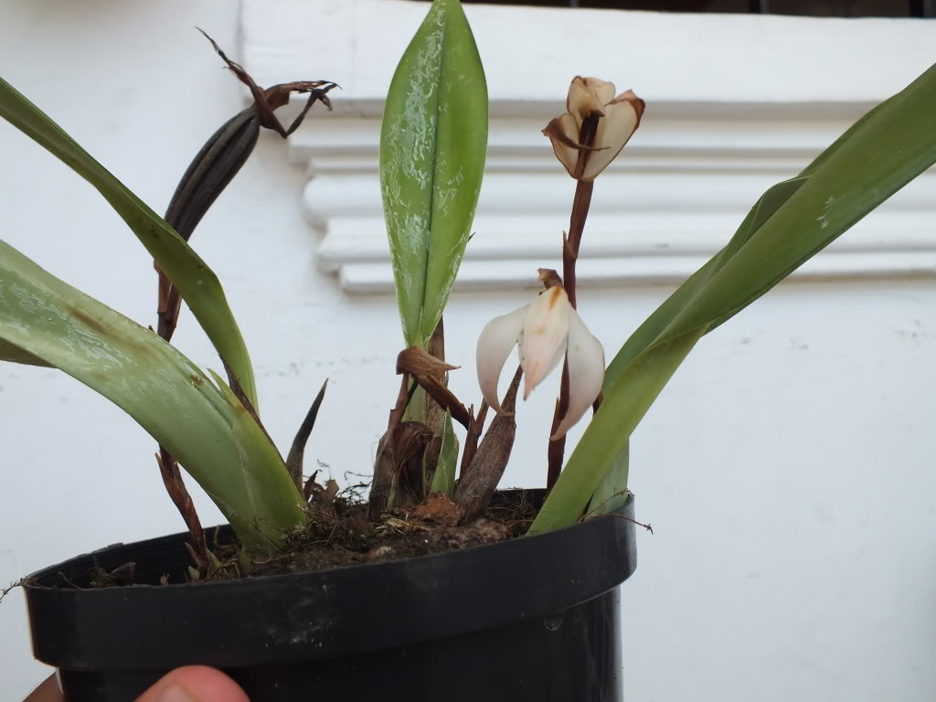 2012-06-19_1504.jpg