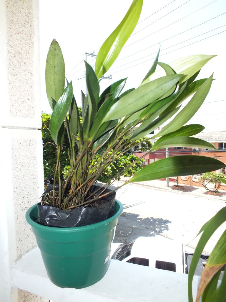2012-06-19_1508.jpg