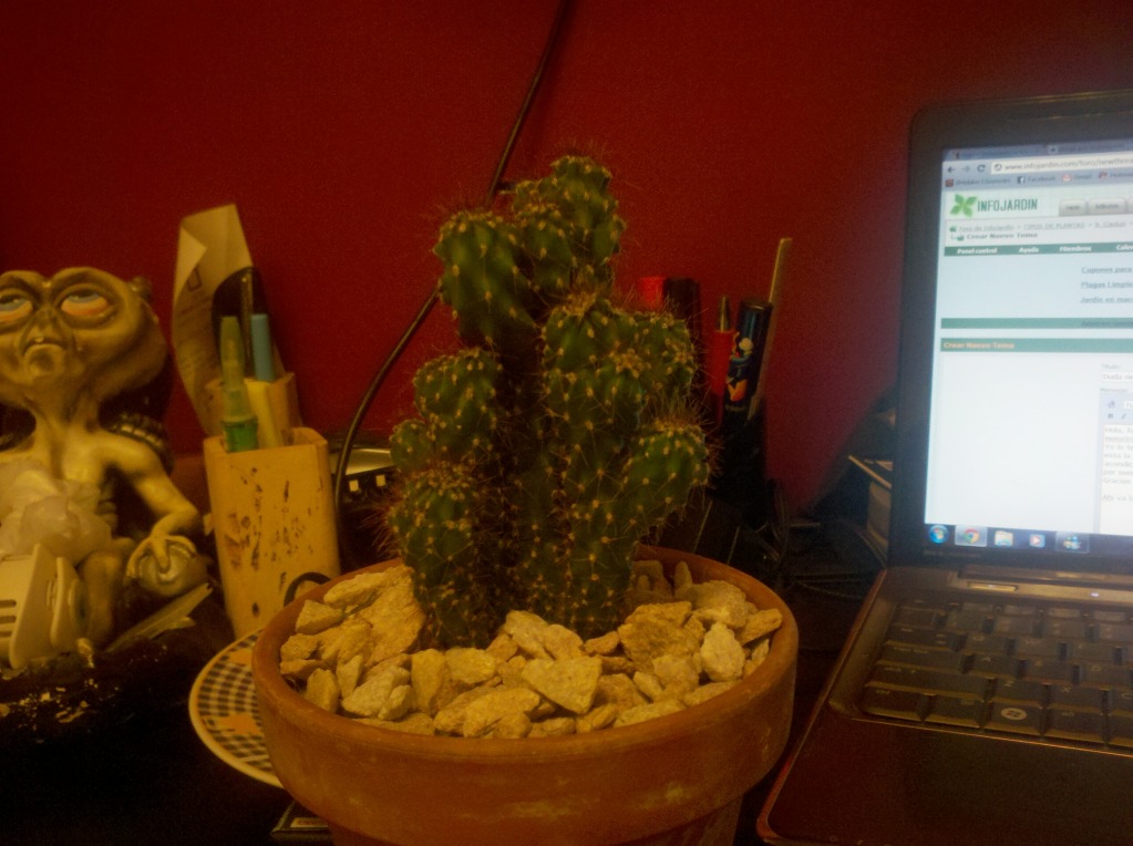 2012-07-08_19-51-40_973.jpg
