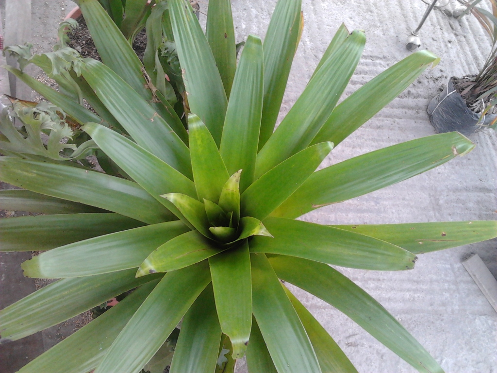 2012-08-01132615.jpg