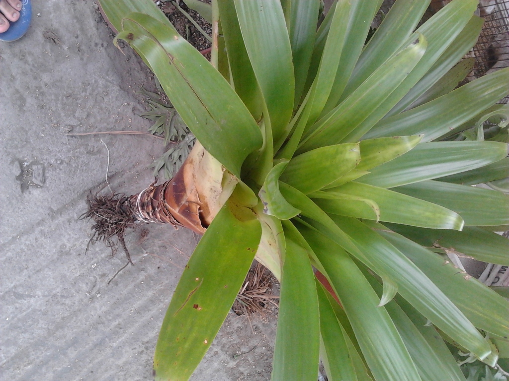 2012-08-01132634.jpg