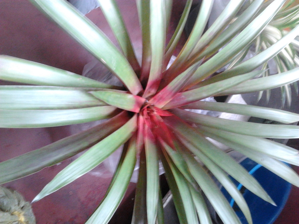 2012-08-01132954.jpg