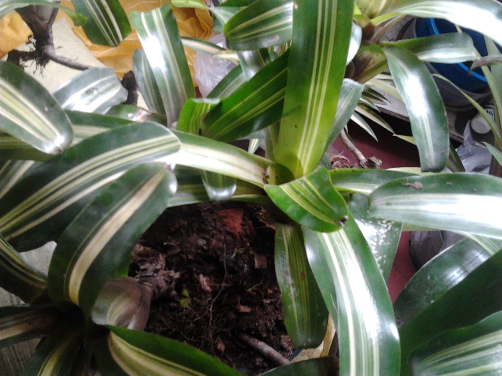 2012-08-01133200.jpg