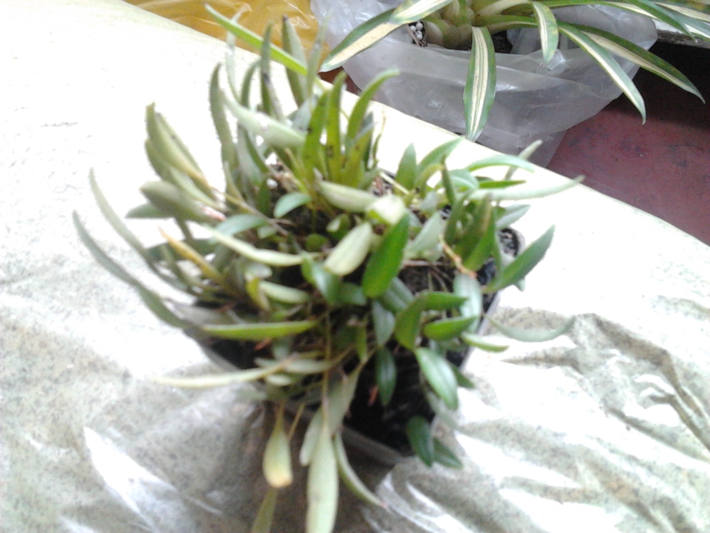 2012-08-01133245.jpg