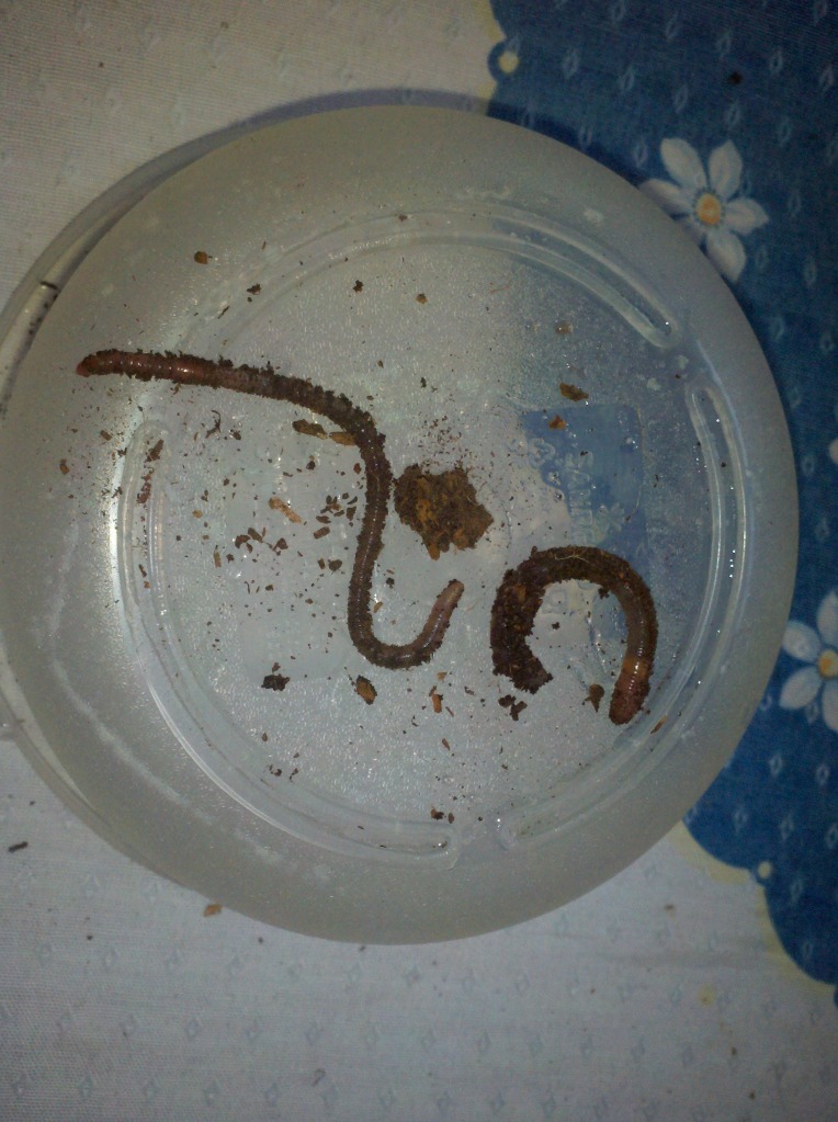 2012-08-01_15-52-36_578.jpg
