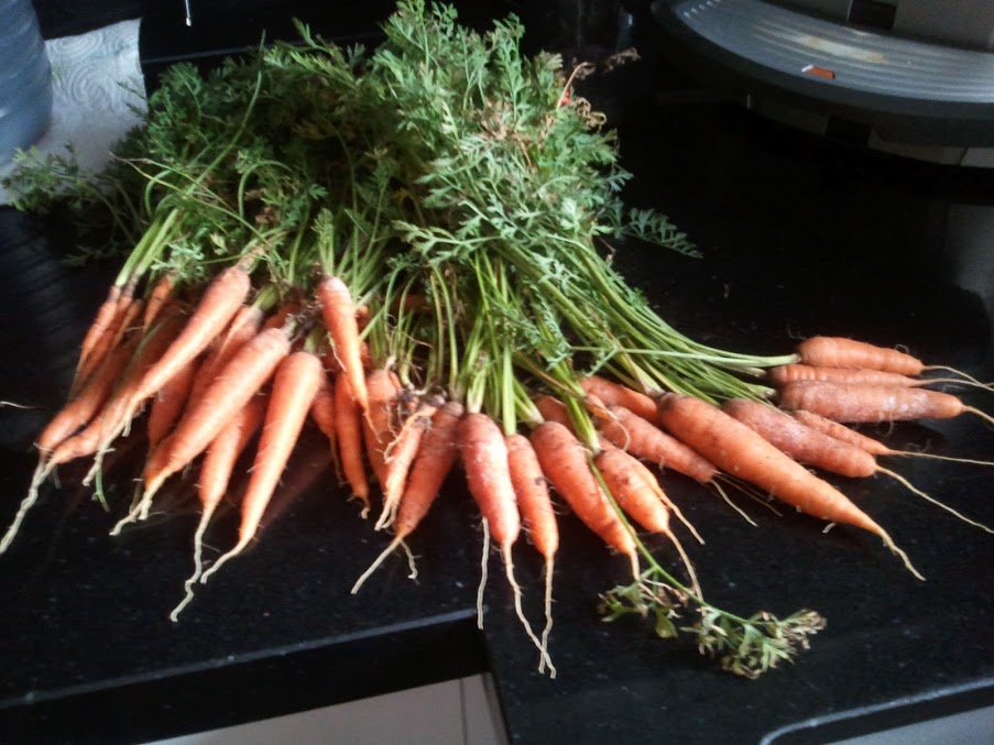 2012-08-09+20+05+40.jpg