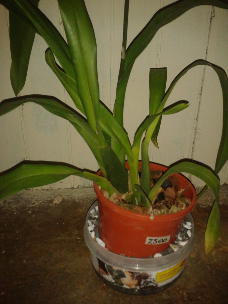 2012-08-23214824.jpg