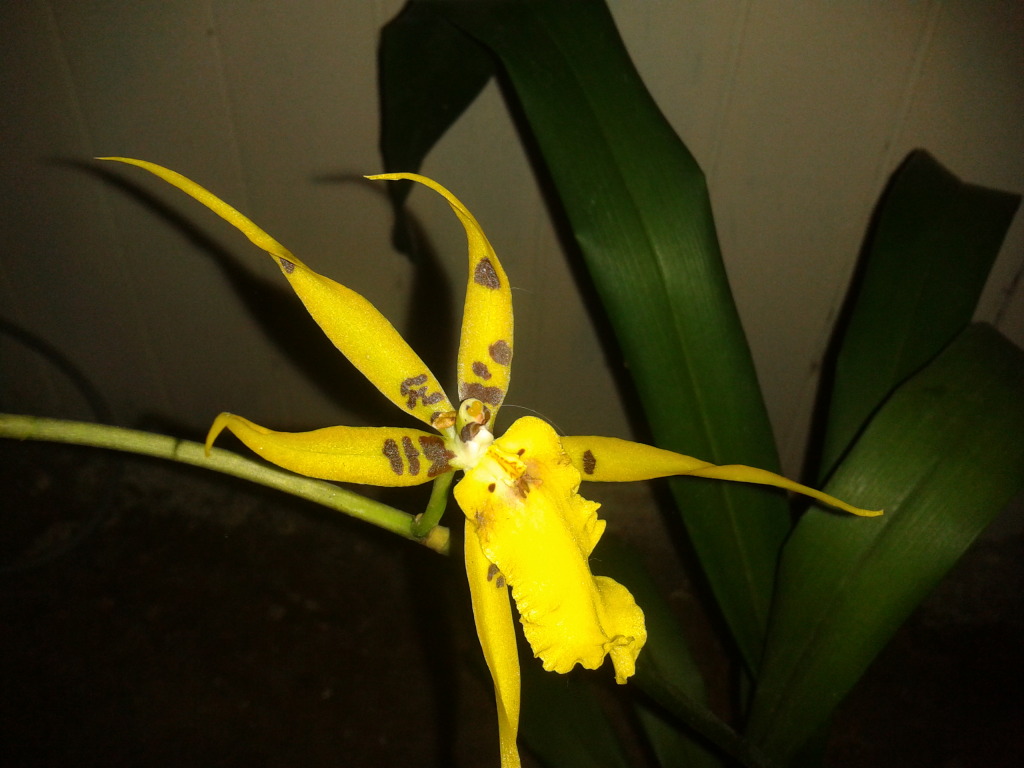 2012-08-23214951.jpg
