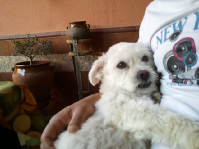 2012-09-08165611.jpg