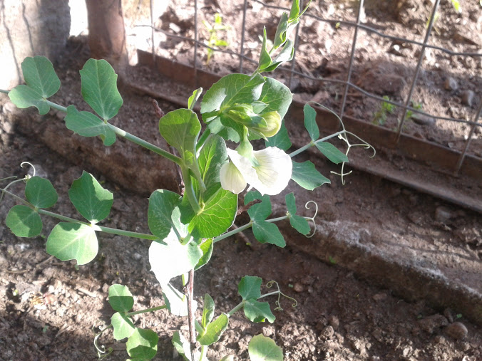 2012-09-23+09.37.45.jpg