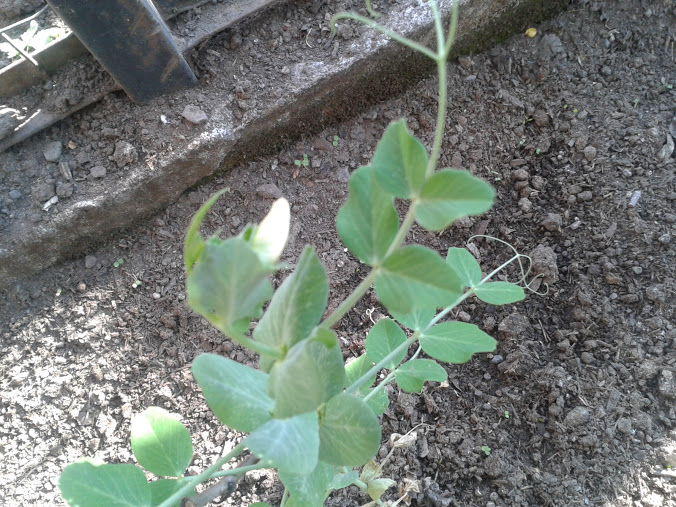 2012-09-23+09.38.25.jpg