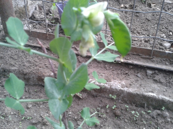 2012-09-29+12.44.43.jpg