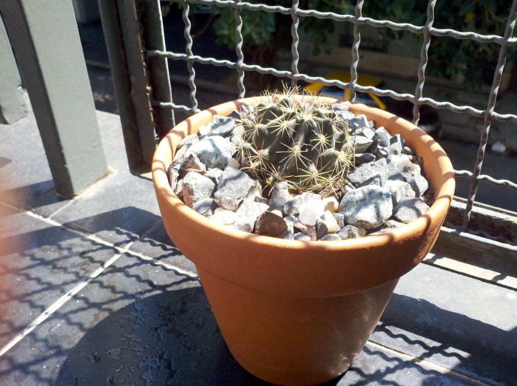 2012-10-01_12-56-44_461.jpg