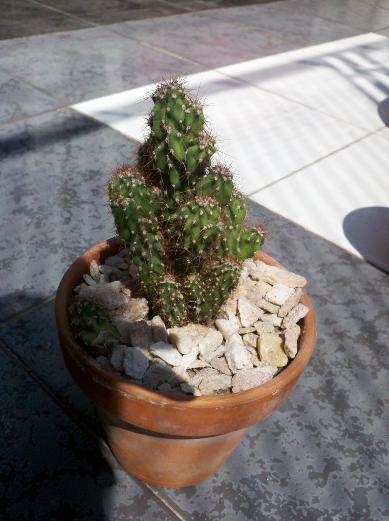 2012-10-01_12-56-57_925.jpg