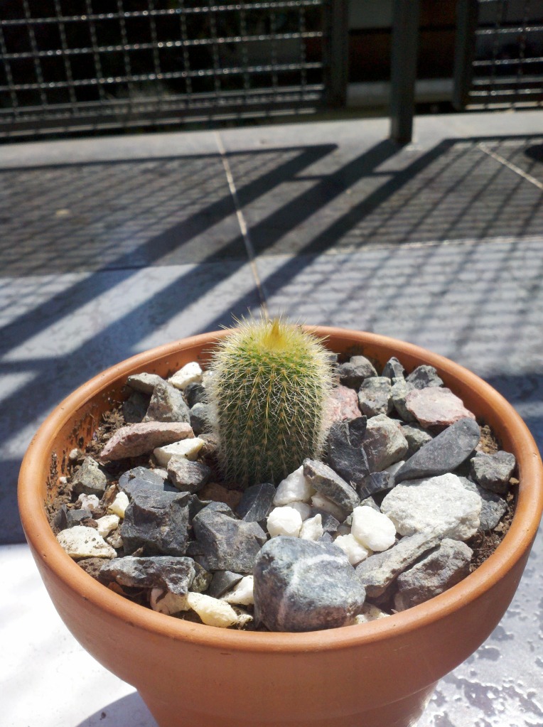 2012-10-01_12-57-29_710.jpg