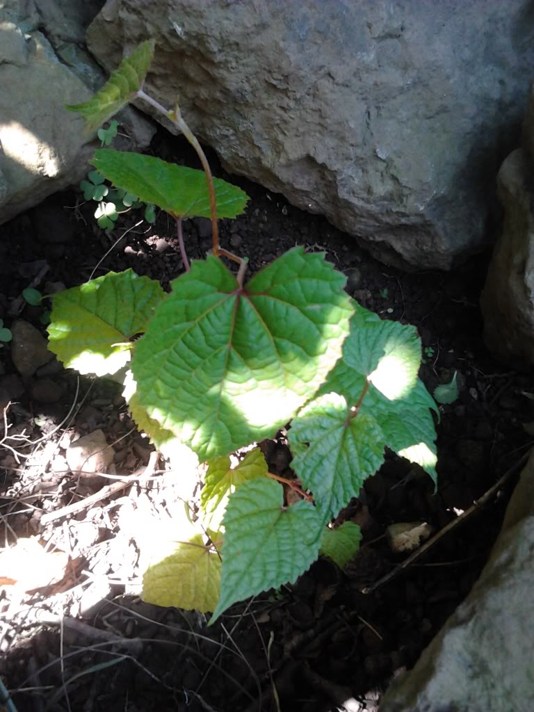 2012-10-07153217.jpg