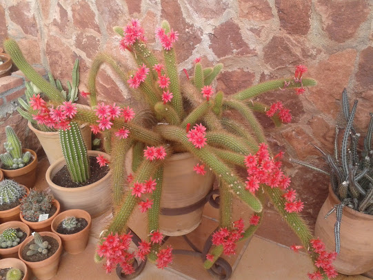 2012-10-10+17.07.00.jpg