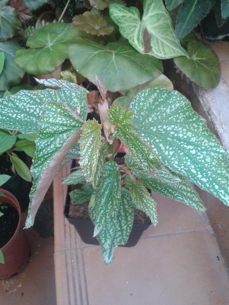 2012-10-14172511.jpg