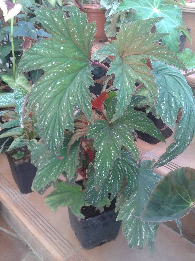 2012-10-14172741.jpg