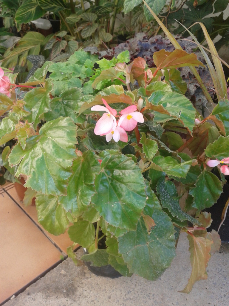 2012-10-14173025.jpg