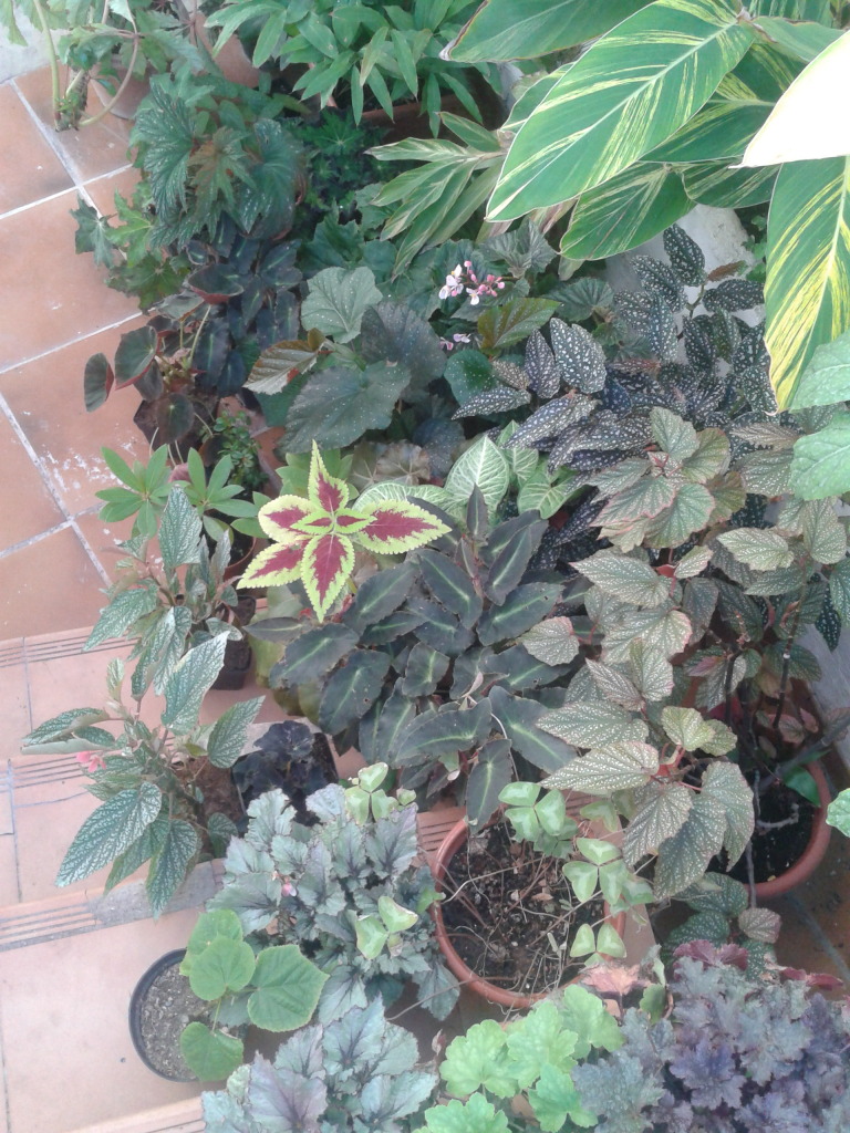 2012-10-14173045.jpg